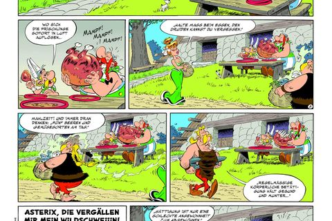 Ein kleiner Vorgeschmack auf Band 40: Obelix wird seine Leibspeise Wildschwein madig gemacht