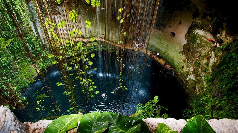 Blick in die Cenote Ik Kil