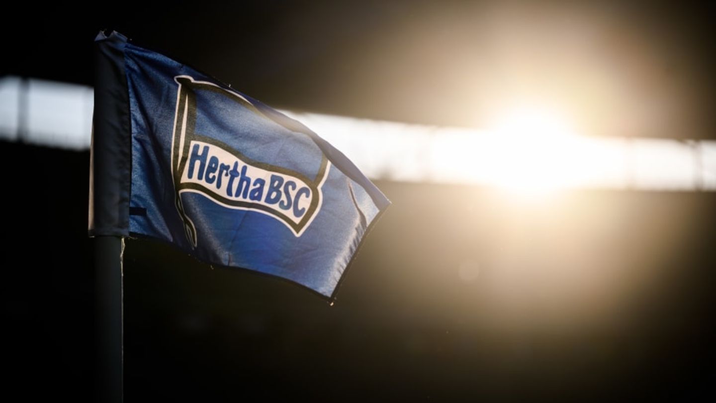 Hertha BSC v TSG Hoffenheim - Bundesliga