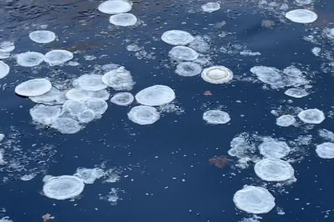 Schwimmt hier Müll im Fluss? Nein, bei den Bildern handelt es um ein seltsames Eis-Phänomen