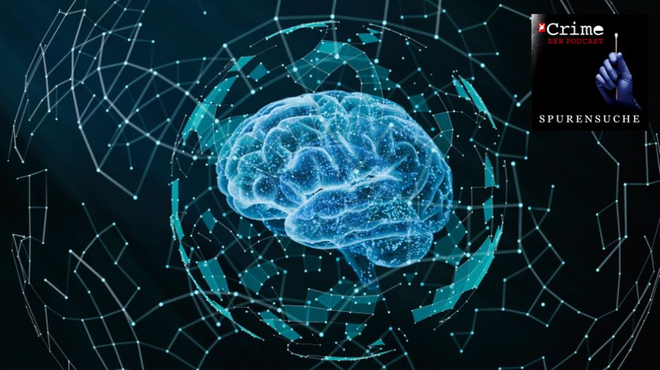 Psychologieprofessorin Renate Volbert erklärt wie man eine Lüge erkennt