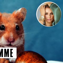 Unsere Kolumnistin hält nichts davon, das Hamsterrad anzuhalten, sie will es lieber weiterdrehen