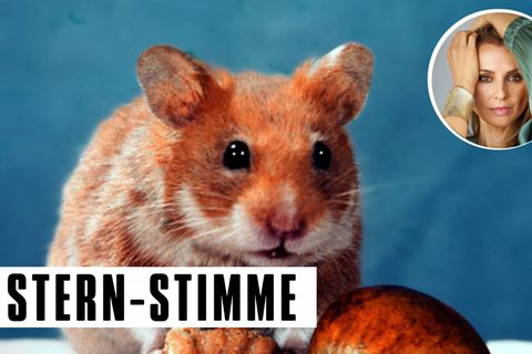 Unsere Kolumnistin hält nichts davon, das Hamsterrad anzuhalten, sie will es lieber weiterdrehen
