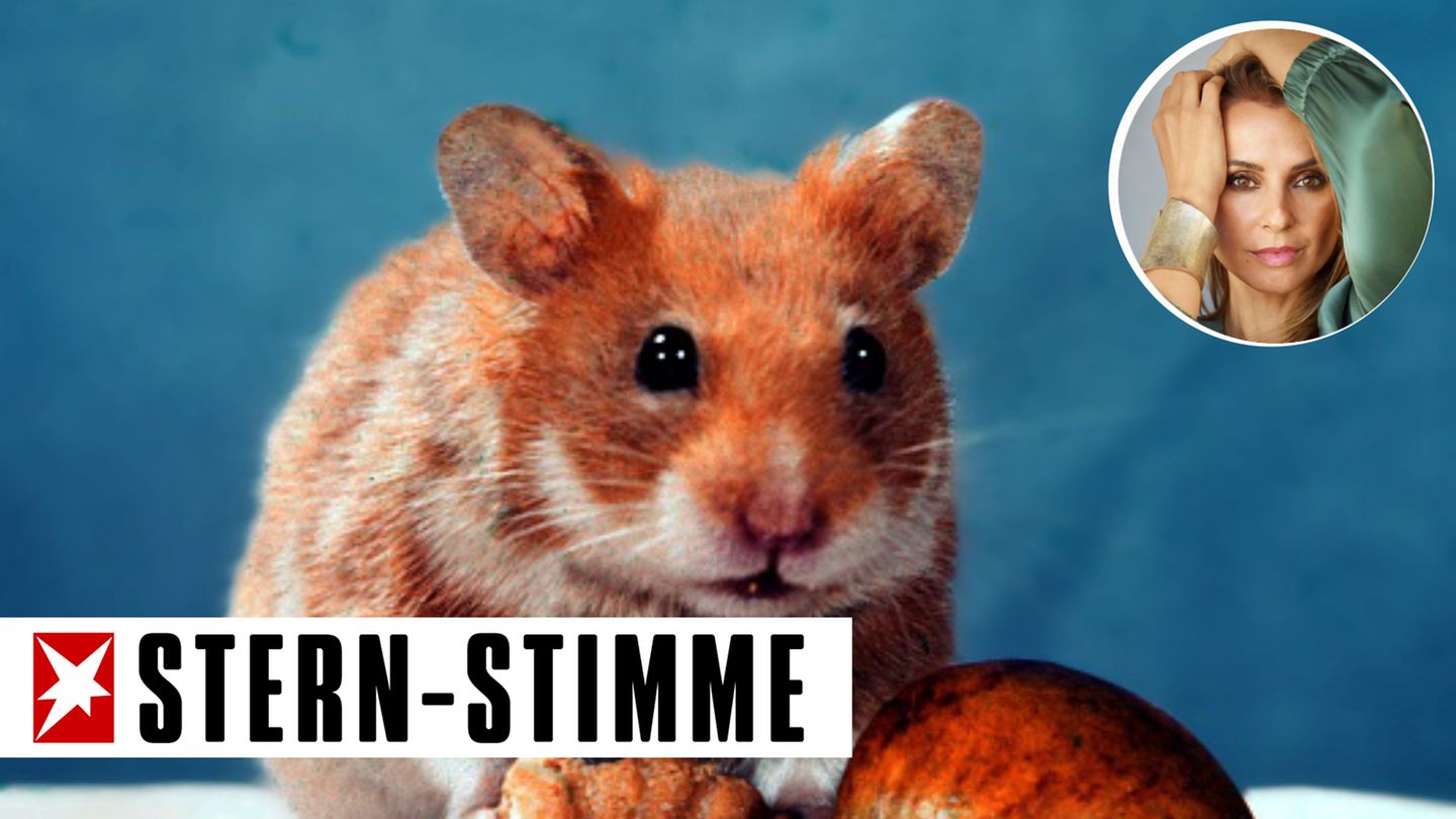 Unsere Kolumnistin hält nichts davon, das Hamsterrad anzuhalten, sie will es lieber weiterdrehen