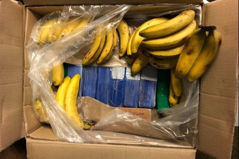 Die Bananenkiste mit reichlich Kokain an Bord.