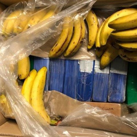 Die Bananenkiste mit reichlich Kokain an Bord.