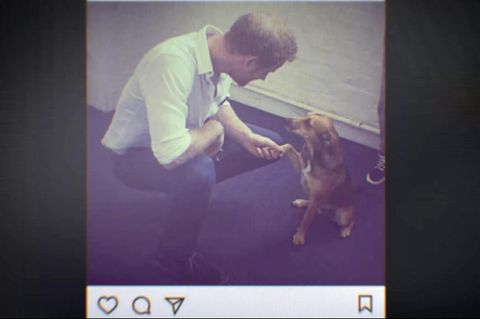 Prinz Harry Instagram