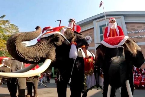 Zwei Elefanten mit Weihnachtsmützen-Kopfschmuck stehen nebeneinander auf einem Schulhof in Thailand