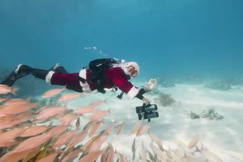 Video: Es weihnachtet - nicht nur an Land
