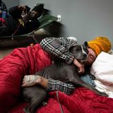 USA, Canton: Thomas Dameron umarmt seinen drei Monate alten Welpen Rello in einer Notunterkunft für Obdachlose in der Action Church, während einer Kältewelle in den USA. Dameron, seine Frau und sein Hund leben in ihrem Auto, suchten aber eine Unterkunft, als der Motor ausfiel und sie sich nicht mehr warm halten konnten. Die Kirche öffnet sich für Obdachlose, wenn die Temperaturen unter den Gefrierpunkt fallen, und stellt Feldbetten, Decken und Mahlzeiten zur Verfügung, die von örtlichen Unternehmen gespendet werden.