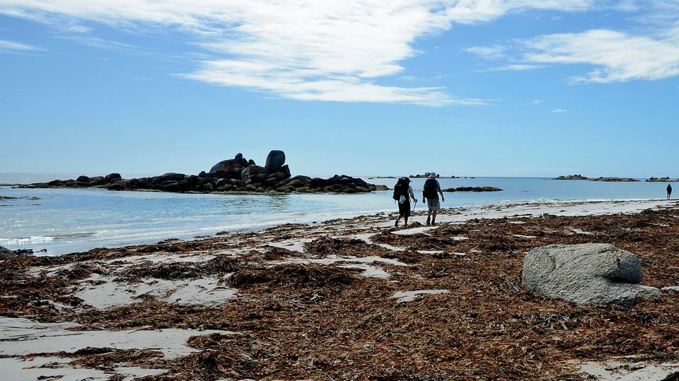 Über einen Flokati von braunem Seetang: Das Gehen im Strand hat seine Tücken und ist beschwerlich. Der sandige Untergrund gibt oft nach, mit jedem Schritt sinkt man ein. Mehrere Kilometer geht es an abschüssigen Uferpassagen entlang; das geht auf die Gelenke. Häufig müssen auch raue Klippen überklettert werden. Wanderschuhe mit einem hohen Seitenhalt sind Pflicht.