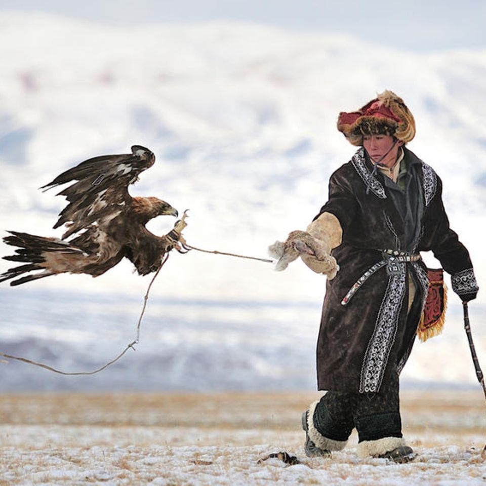 Die Provinz Baja-Ölgii liegt im äußersten Westen der Mongolei – eingeschlossen zwischen dem Altai-Gebirge und der Seenlandschaft von Atschit-Nuur. Hier konnte ein kasachisches Nomadenvolk eine jahrhundertalte Tradition bewahren: die Jagd mit dem Steinadler. Jedes Jahr im September demonstrieren die Jäger, die als Berkutschi bekannt sind, ihre Kunst. 