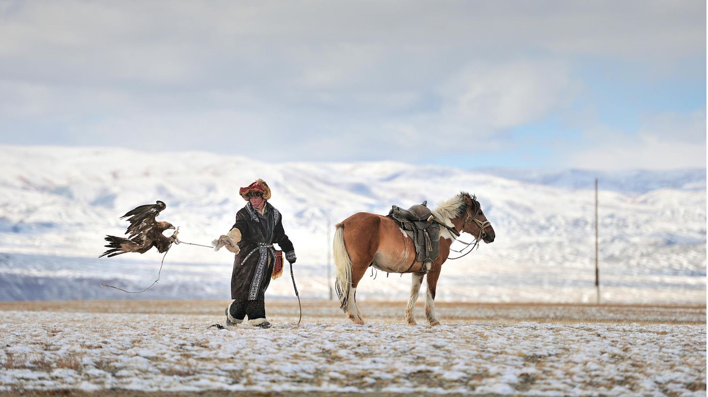 Die Provinz Baja-Ölgii liegt im äußersten Westen der Mongolei – eingeschlossen zwischen dem Altai-Gebirge und der Seenlandschaft von Atschit-Nuur. Hier konnte ein kasachisches Nomadenvolk eine jahrhundertalte Tradition bewahren: die Jagd mit dem Steinadler. Jedes Jahr im September demonstrieren die Jäger, die als Berkutschi bekannt sind, ihre Kunst. 