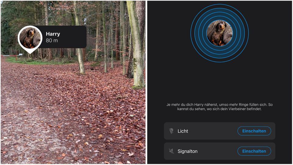 Tractive GPS Dog 4 Tracker Tractive GPS Dog 4 Tracker