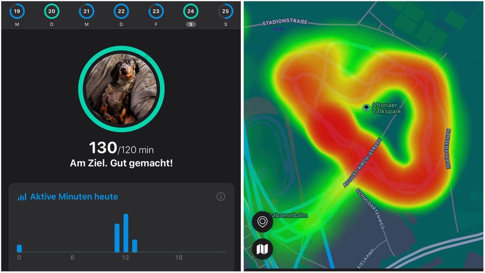 Tractive GPS Dog 4 Tracker Tractive GPS Dog 4 Tracker