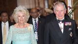 Die Greville Tiara  Sie gehört zu Königin Camillas Lieblingsstücken und ist ursprünglich gar nicht royalen Ursprungs. Die Greville Tiara ist nach ihrer früheren Besitzerin, Margaret Greville, benannt. Sie war eine bekannte Society-Lady, die sich in höchsten Kreisen bewegte. Da sie aus reichem Hause stammte, konnte sie es sich leisten, eine Juwelen-Sammlung anzuhäufen. 1921 fertigte Juwelier Boucheron in Paris eine neue Tiara aus Juwelen aus ihrer Sammlung an. 21 Jahre später starb Greville und hinterließ ihre Kollektion Queen Mum. Diese ließ die Tiara ein wenig ändern, denn die spitzenförmig angeordneten Steine in der obersten Reihe war vorher nebeneinander aufgereiht. Nach dem Tod Queen Mums 2001 ging das Diadem in den Besitz von Queen Elizabeth II. über. Sie verlieh das Schmuckstück oft an ihre Schwiegertochter Camilla. Auf dem Bild trägt die heutige Königin die Greville Tiara 2013 beim Staatsbesuch in Sri Lanka.