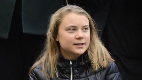 Greta Thunberg bekommt nicht nur Lob für ihren Tweet gegen Andrew Tate