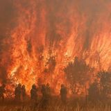 Feuerwehrmann kämpft mit Waldbrand