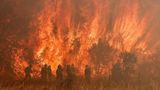 Feuerwehrmann kämpft mit Waldbrand