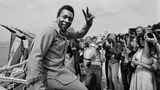Immer im Visier der Fotografen: Pelé im Mai 1981 bei den 34. Filmfestspielen von Cannes