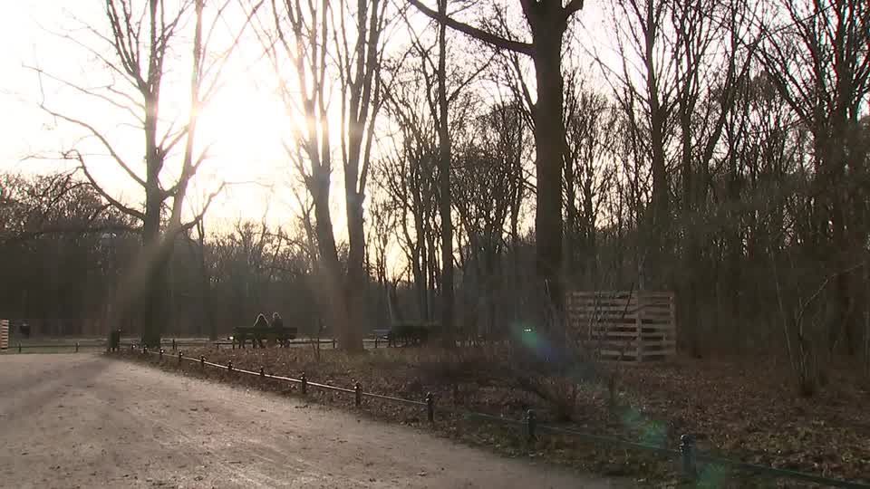 Video: DWD: An Silvester über 20 Grad erwartet