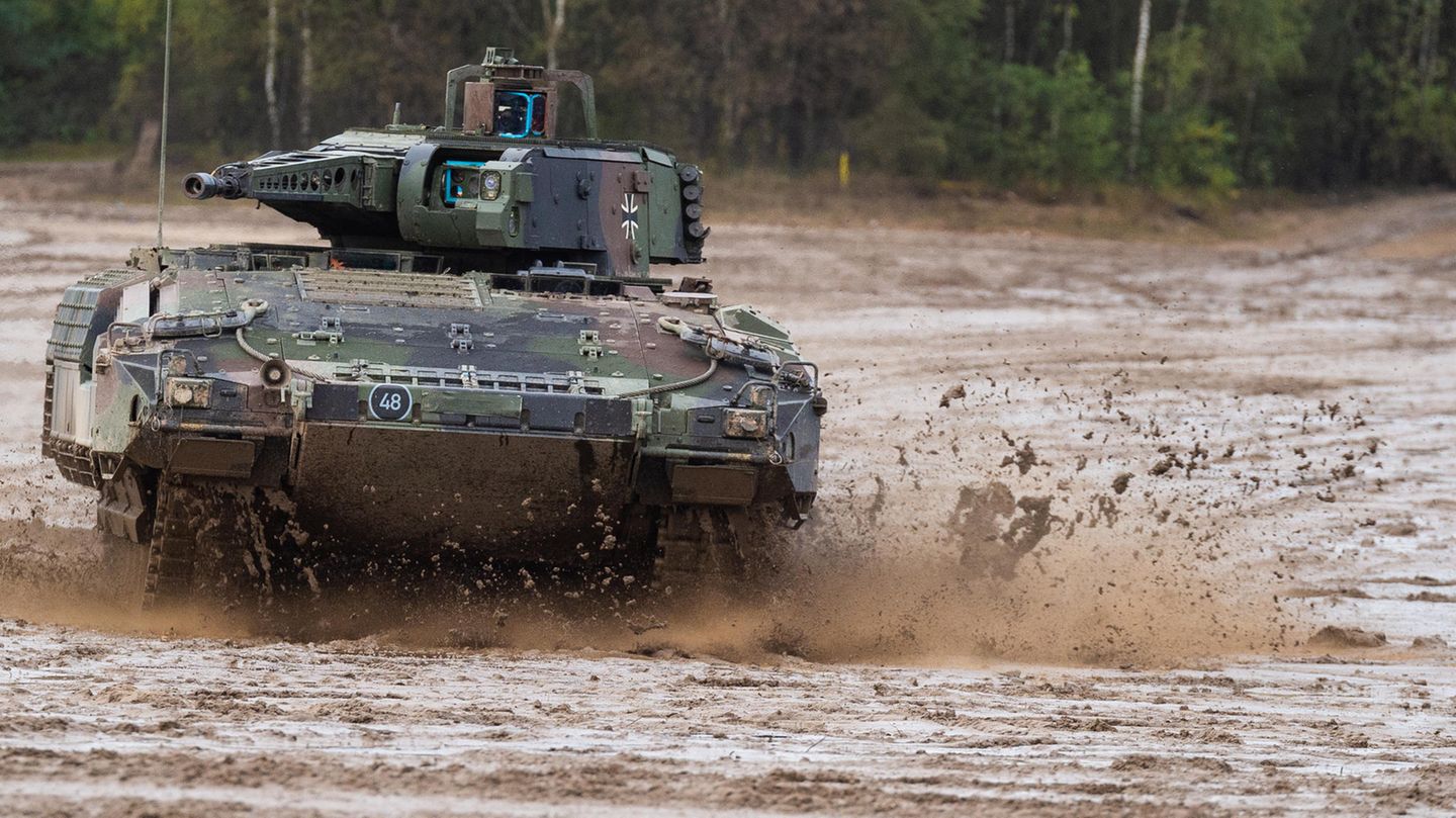 Der Puma sollte umfassende Fähigkeiten besitzen - vielleicht wollte man zuviel auf einmal.