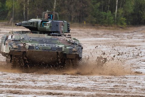 Der Puma sollte umfassende Fähigkeiten besitzen - vielleicht wollte man zuviel auf einmal.