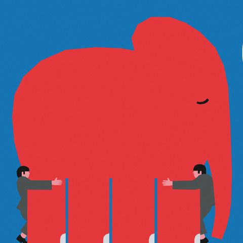 Nico Fried Kolumne Illustration mit Elefant