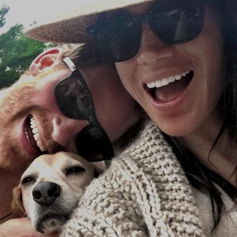 Harry und Meghan mit Beagle Guy