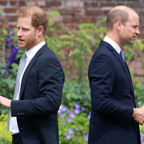 Prinz Harry und Prinz William