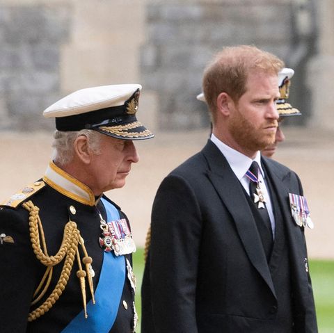 König Charles III. und Prinz Harry