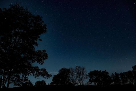 Blick auf einen klaren Sternenhimmel