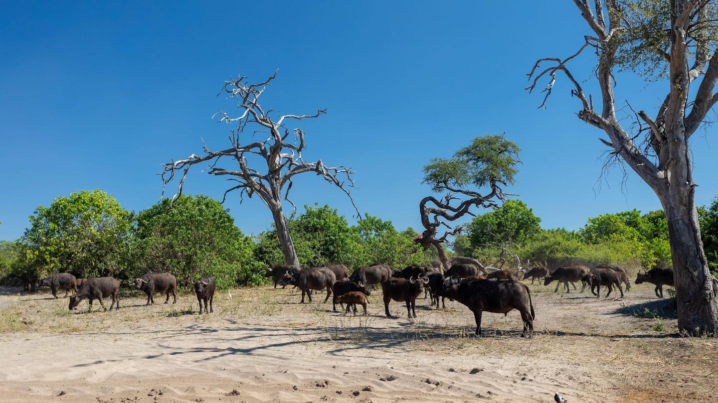 Botswana
