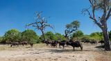 Botswana
