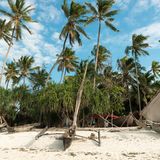 Sansibar ist bekannt für Urlaub mit Schönwetter-Garantie in paradiesischer Kulisse. Das ganze Jahr über herrschen auf der zu Tansania gehörenden Inselgruppe über 30 Grad. Die Einheimischen sind außerdem sehr gastfreundlich und zeigen den Besuchern nur zu gerne ihre Welt. Die besteht unter anderem aus weißen Sandstränden und perfekten Bedingungen für Surfer und Taucher. 