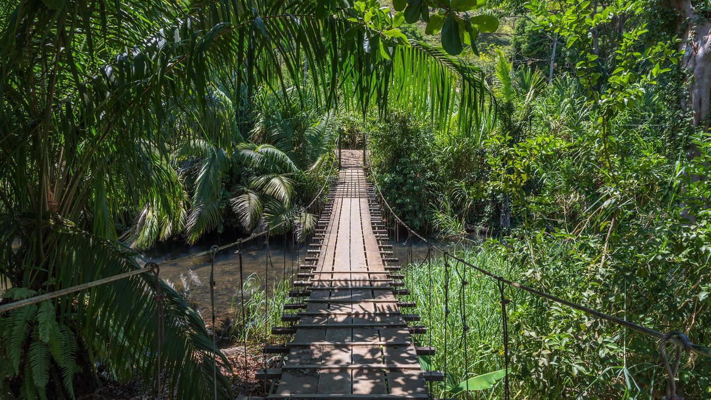 Costa Rica Traumhafte Sandstrände am glasklaren Ozean, verschlungene Dschungelpfade und eine einladende Gastfreundschaft: Costa Rica gehört aus gutem Grund schon seit Jahren zu den beliebtesten Fernreisezielen der Deutschen. Abgesehen davon zählt es zu den sichersten und glücklichsten Ländern Südamerikas.