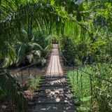 Traumhafte Sandstrände am glasklaren Ozean, verschlungene Dschungelpfade und eine einladende Gastfreundschaft: Costa Rica gehört aus gutem Grund schon seit Jahren zu den beliebtesten Fernreisezielen der Deutschen. Abgesehen davon zählt es zu den sichersten und glücklichsten Ländern Südamerikas. 