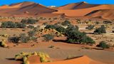 Namibia gehört zu den beliebtesten Reisezielen in Afrika. Das liegt nicht nur an der vergleichsweise stabilen Sicherheitslage im Land, sondern auch an der beeindruckenden Landschaft zwischen Wüste und Savanne, der artenreichen Tierwelt und der einladenden Gastfreundschaft der Einheimischen. 