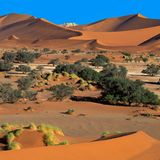 Namibia gehört zu den beliebtesten Reisezielen in Afrika. Das liegt nicht nur an der vergleichsweise stabilen Sicherheitslage im Land, sondern auch an der beeindruckenden Landschaft zwischen Wüste und Savanne, der artenreichen Tierwelt und der einladenden Gastfreundschaft der Einheimischen. 