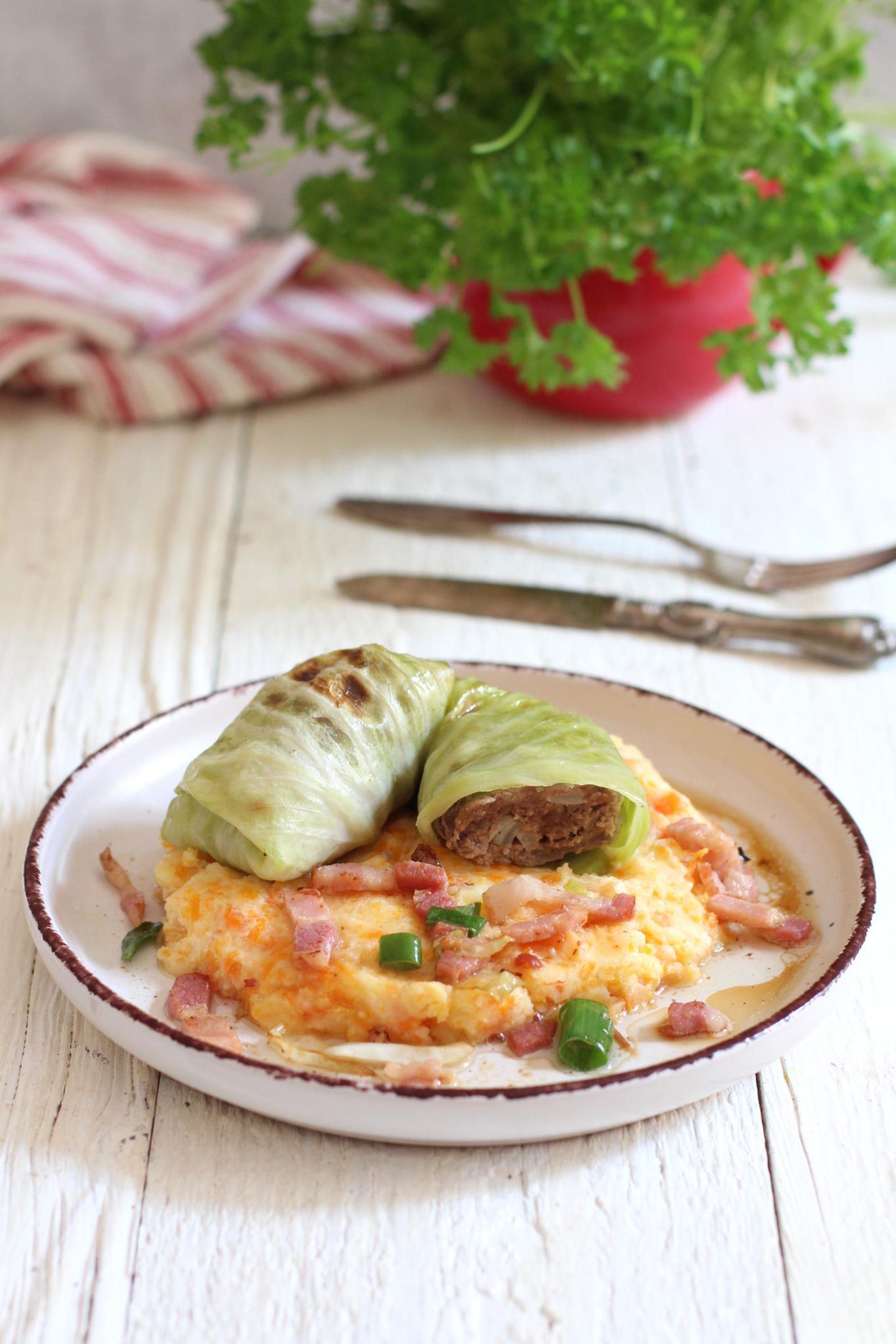 Krautwickel mit Sellerie-Möhren-Stampf