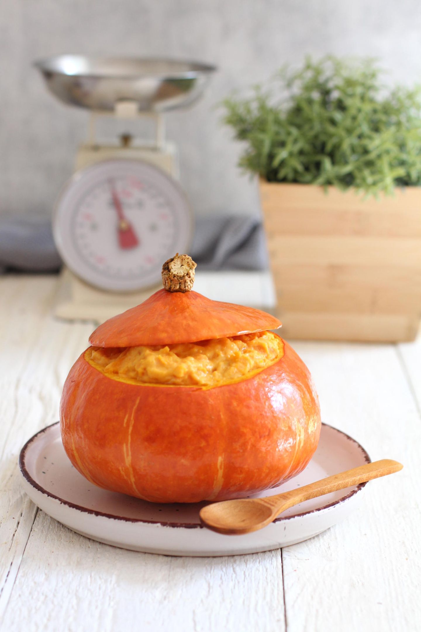 Kürbis aus dem Ofen