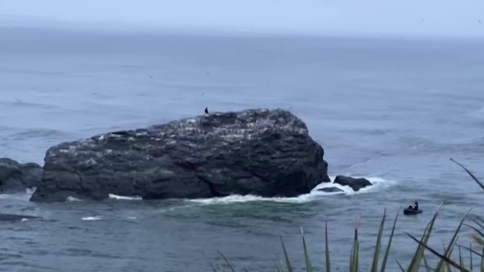 Video: Chilenische Marine rettet Hund von Felsen