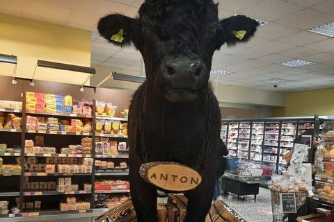 Ein ausgestopftes Rind im Supermarkt: Darüber waren viele Kunden nicht begeistert.