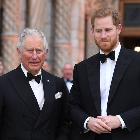 Prinz Harry Charles