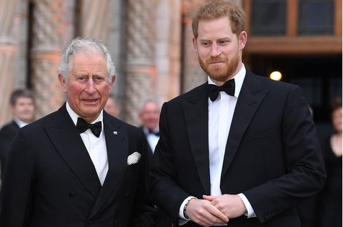 Prinz Harry Charles