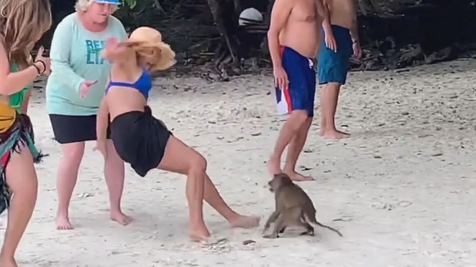 Thailand: Touristin provoziert Affen und bekommt prompt die Quittung