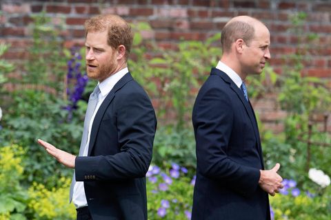 Prinz Harry und Prinz William