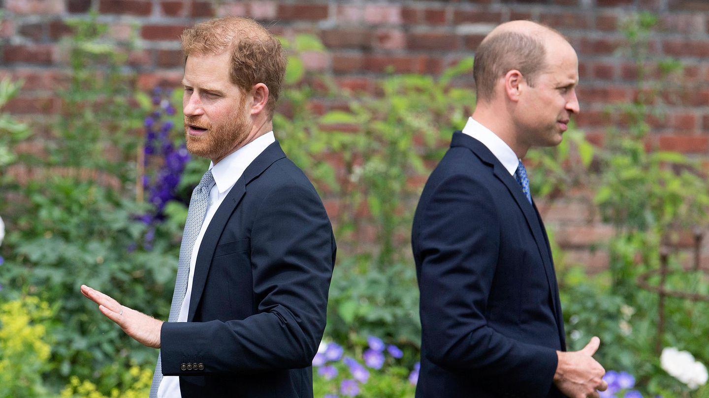 Prinz Harry und Prinz William Prinz Harry und Prinz William