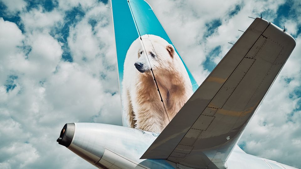 Frontier Airlines: Ein Eisbär auf dem Heck einer "Frontier Airlines"-Maschine. Ein Eisbär auf dem Heck einer "Frontier Airlines"-Maschine.