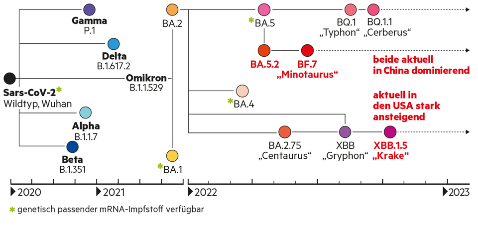 CoronaVarianten Die wichtigsten Mutationen auf einen Blick STERN.de